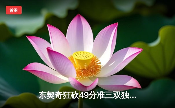 东契奇狂砍49分准三双独行侠加时险胜篮网，欧文战旧主失关键罚球