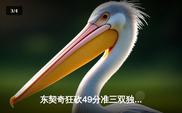 东契奇狂砍49分准三双独行侠加时险胜篮网，欧文战旧主失关键罚球 - 3